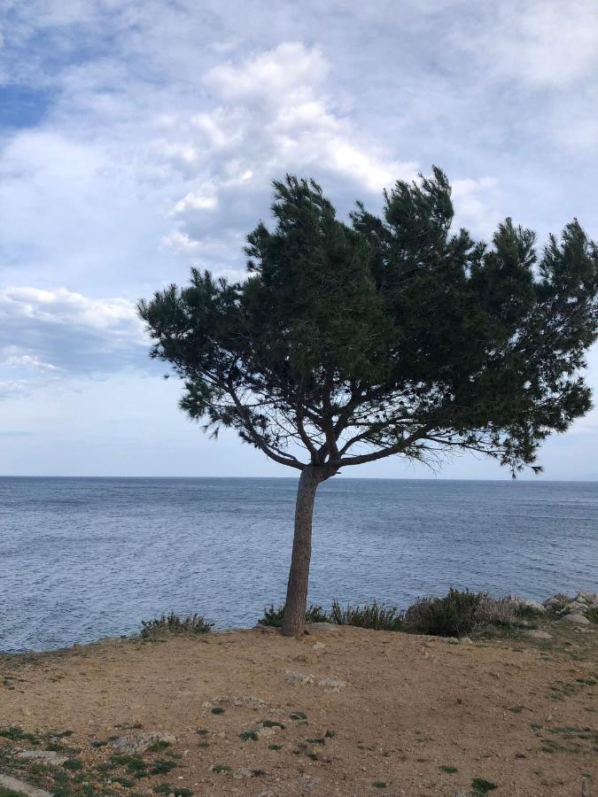 Casa Vacanze Da Maurizio Santa Flavia Bagian luar foto